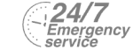 24/7 Emergency Service Pest Control in Ladbroke Grove, North Kensington, W10. Call Now! 020 8166 9746